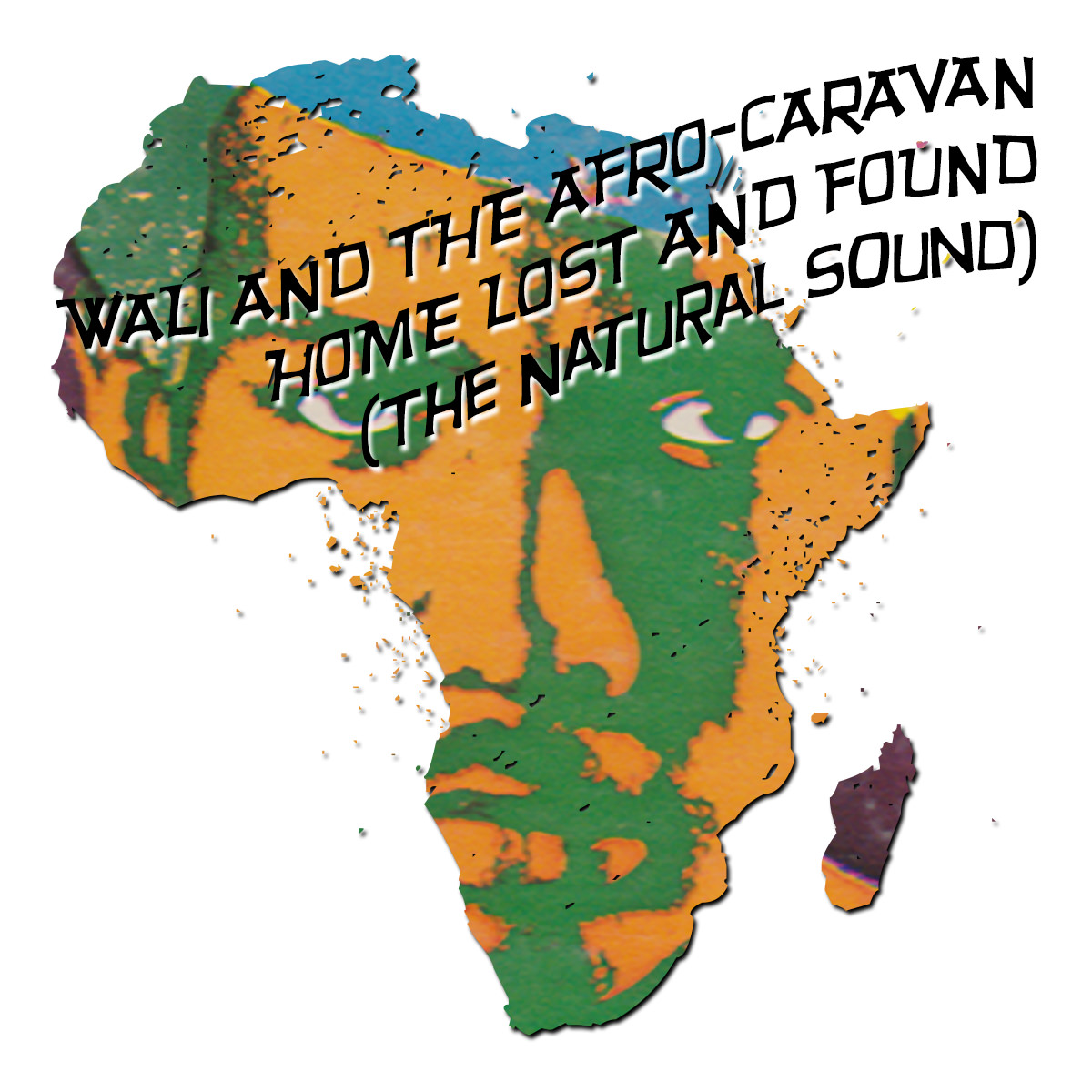 Wali and the Afro-Caravan